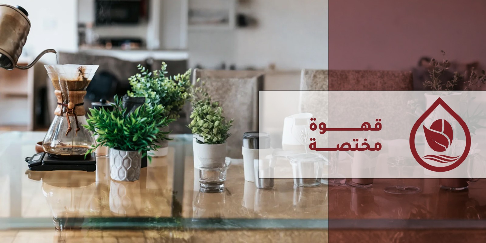 WhatsApp Image 2024-11-30 at 3.14.26 AM